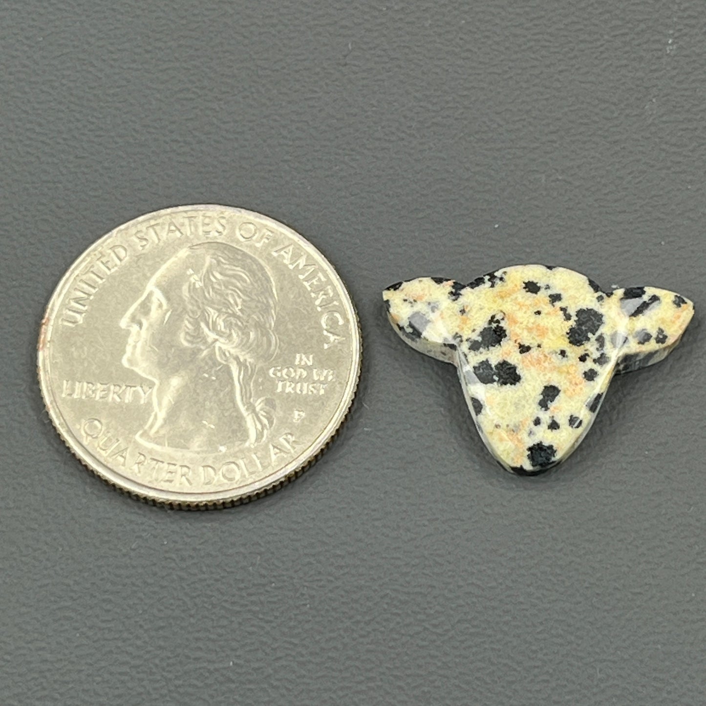 Dolmantion Jasper - Loose Cab - Cow Head