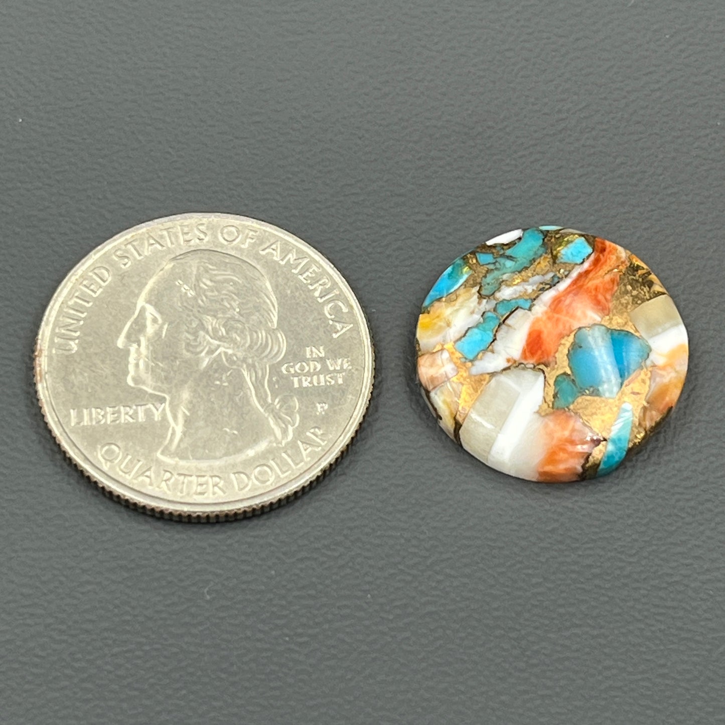 Kingman Spiny Oyster Turquoise - Loose Cab - Round