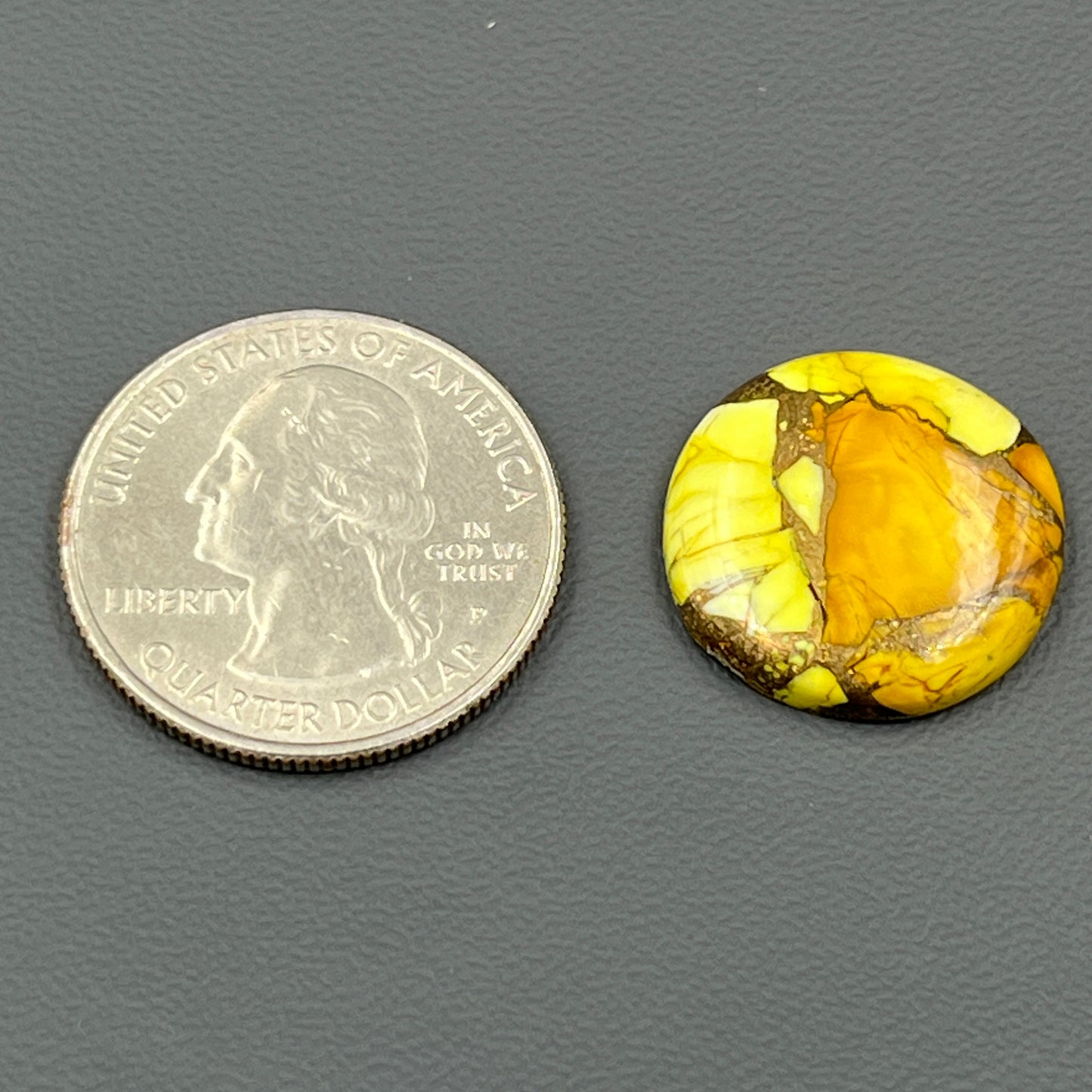 Kingman Honey Dahlia - Loose Cab - Round