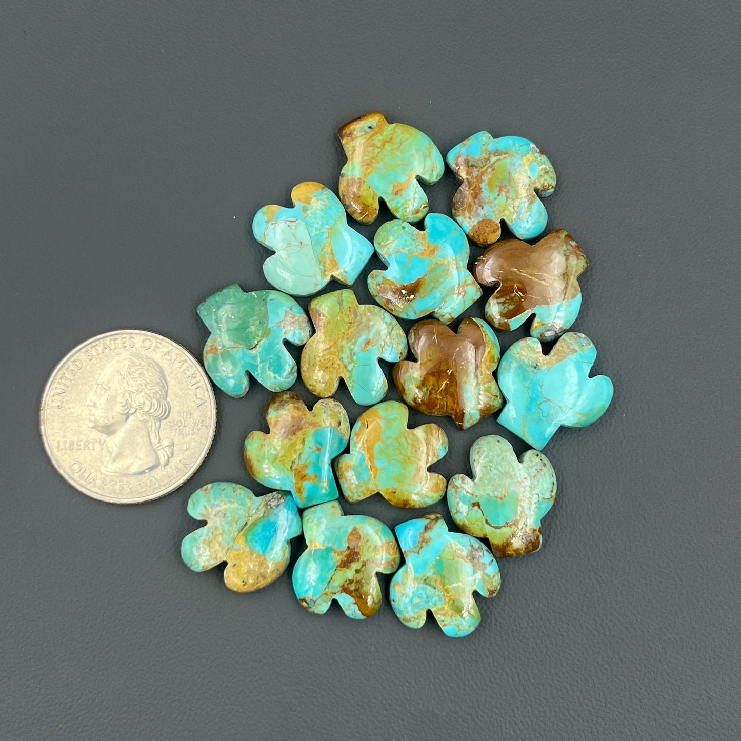 Kingman Turquoise Mohave - Cactus Wholesale Lot - 15 Pcs