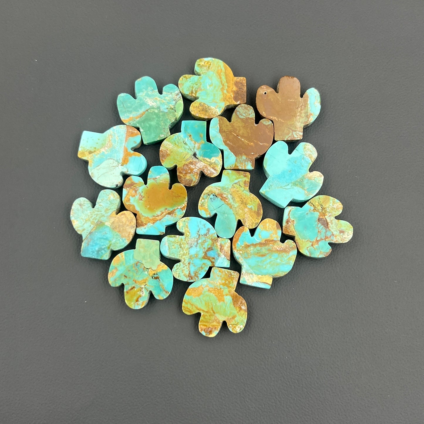 Kingman Turquoise Mohave - Cactus Wholesale Lot - 15 Pcs