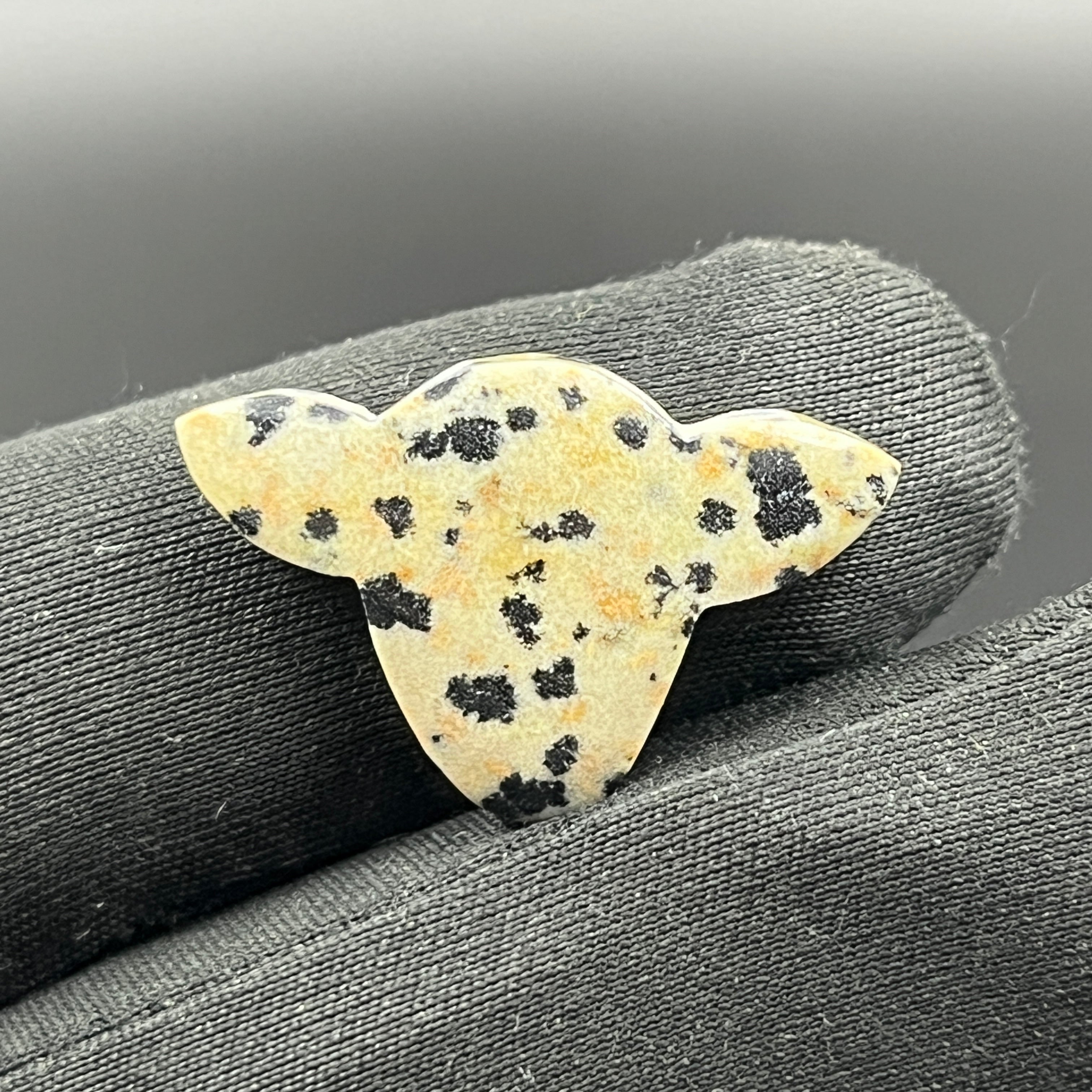 Dalmatian Jasper