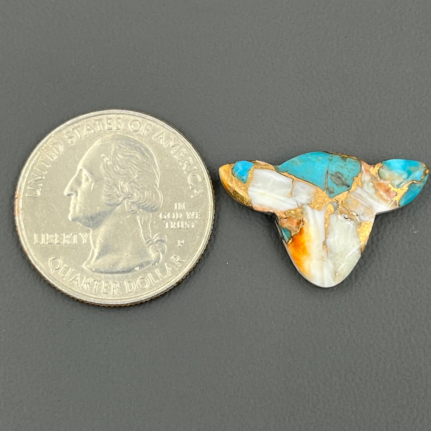 Kingman Spiny Oyster Turquoise - Loose Cab - Cow Head