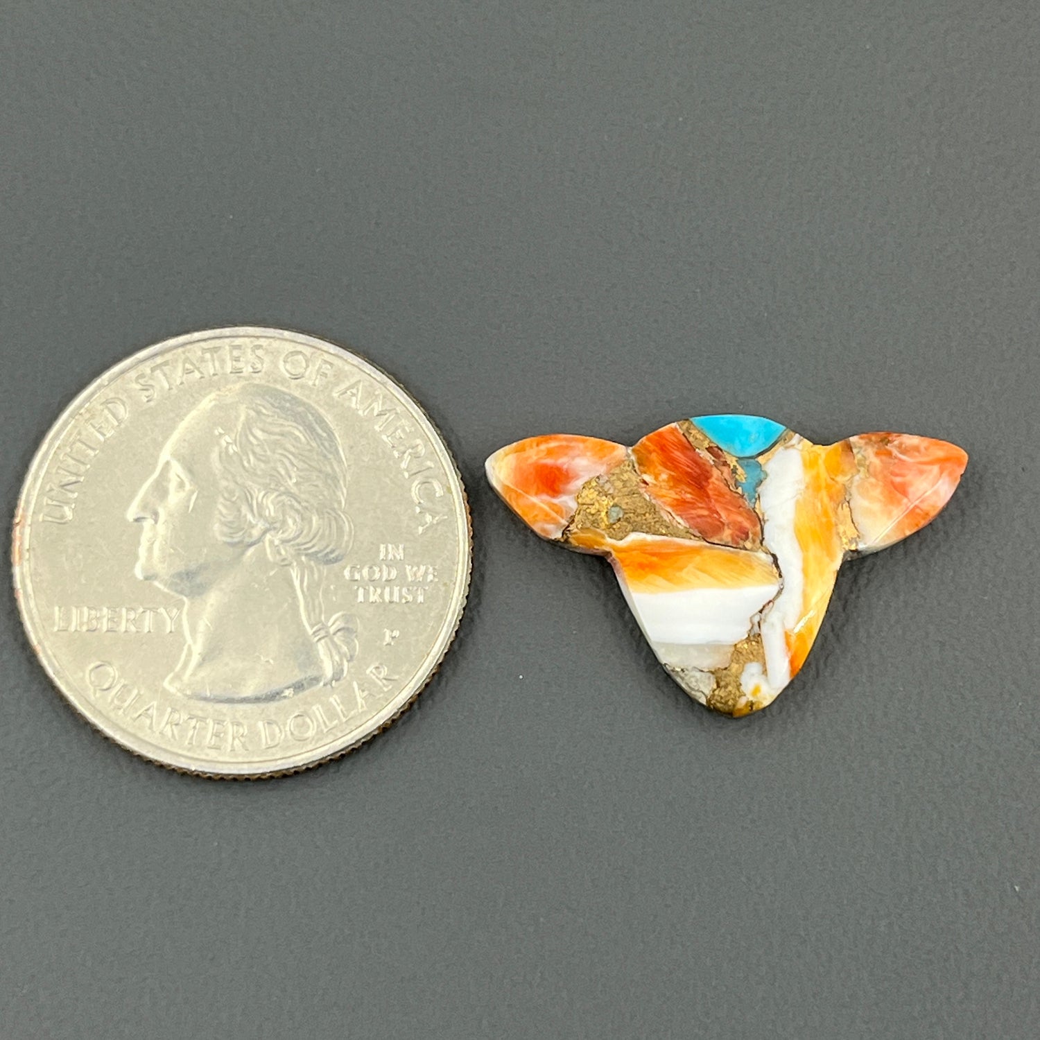 Kingman Spiny Oyster Turquoise - Loose Cab - Cow Head