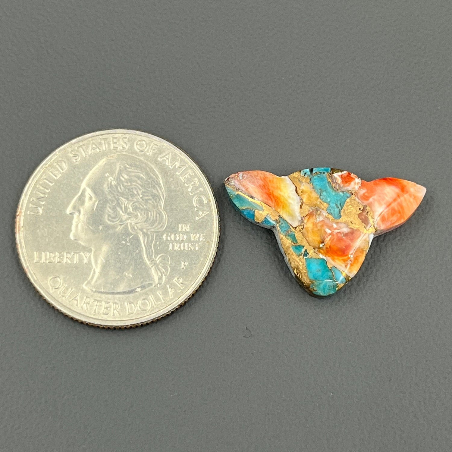 Kingman Spiny Oyster Turquoise - Loose Cab - Cow Head