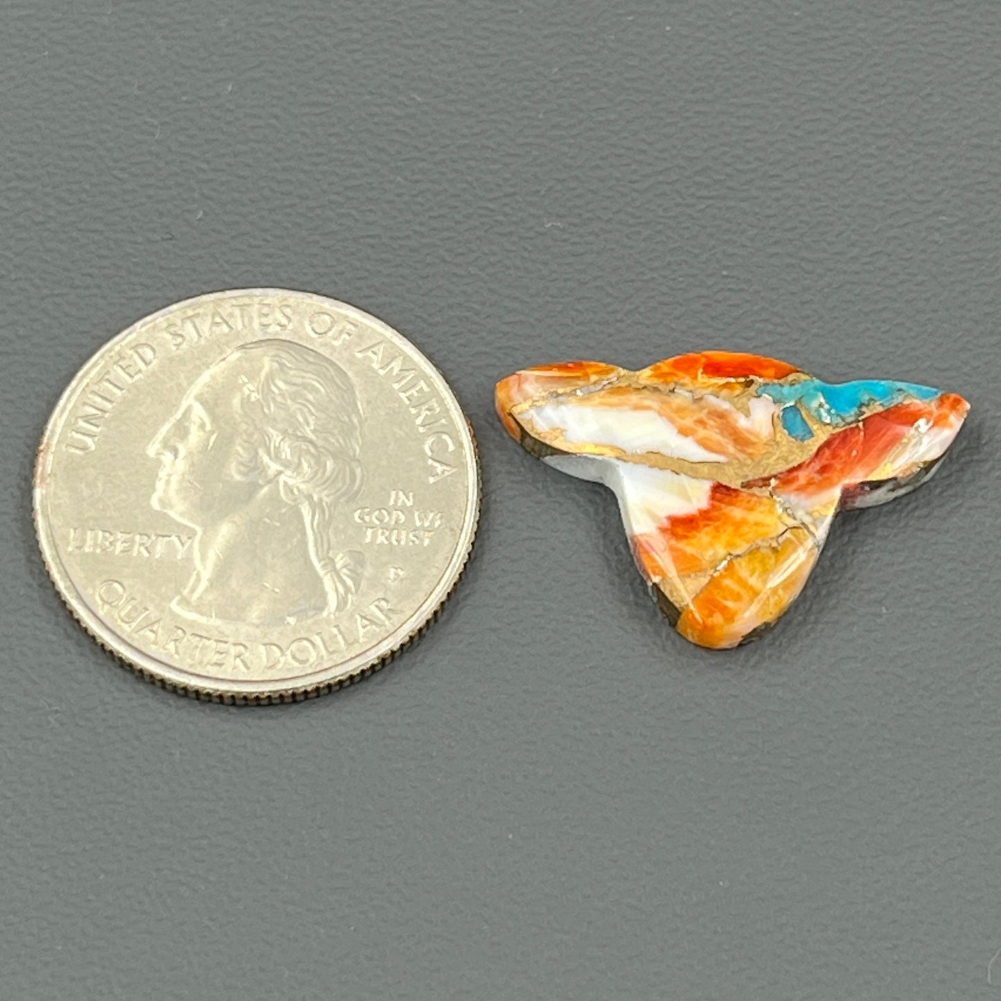 Kingman Spiny Oyster Turquoise - Loose Cab - Cow Head