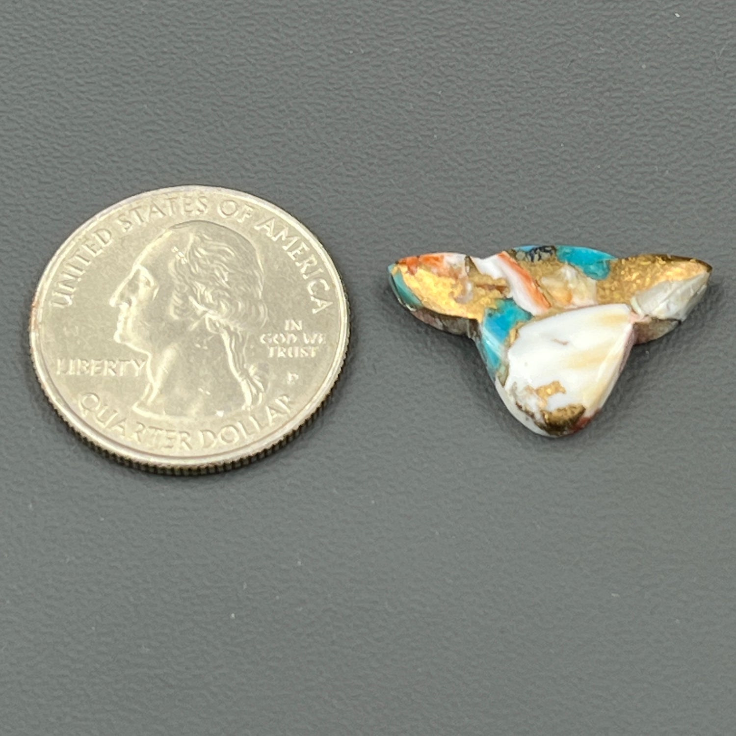 Kingman Spiny Oyster Turquoise - Loose Cab - Cow Head