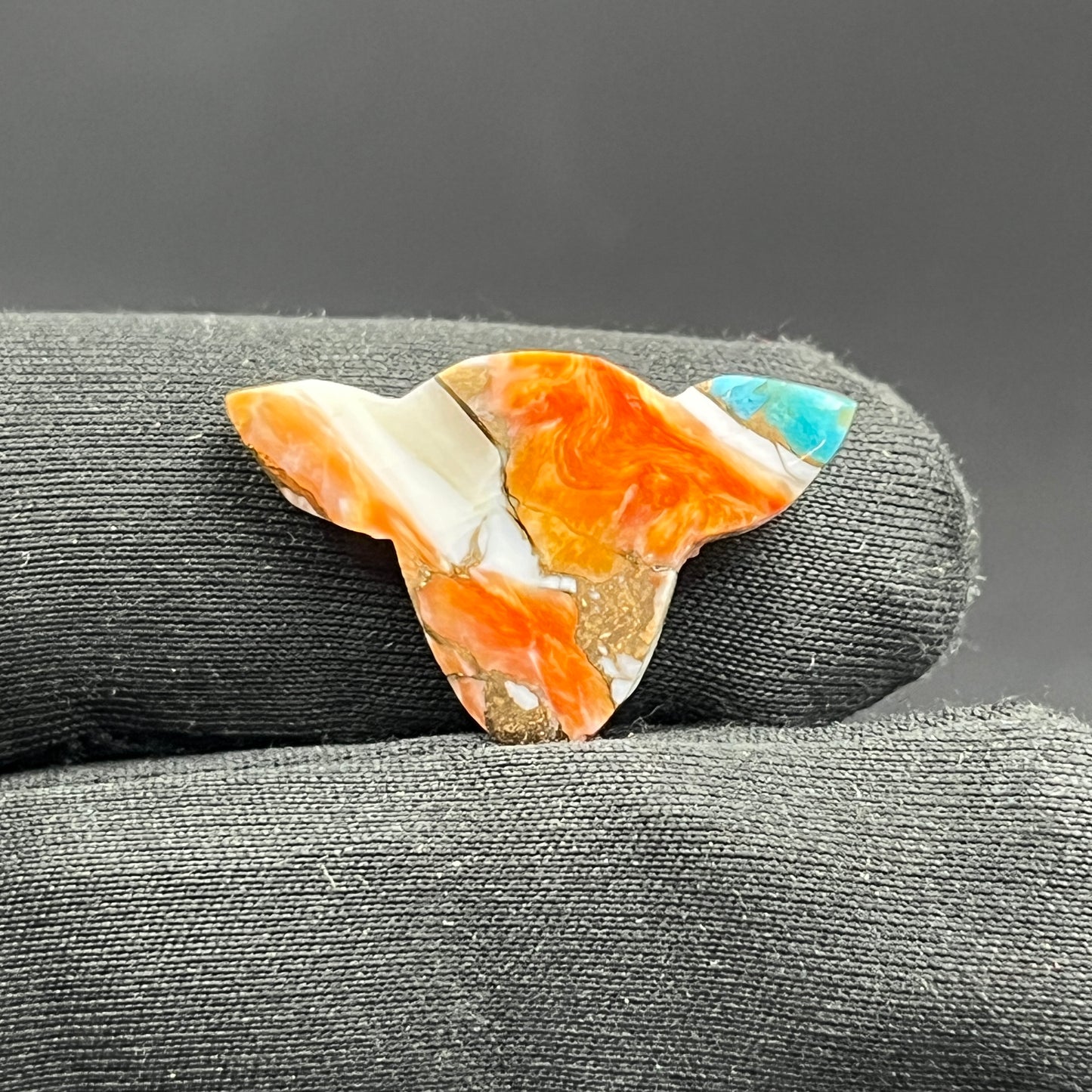 Kingman Spiny Oyster Turquoise - Loose Cab - Cow Head