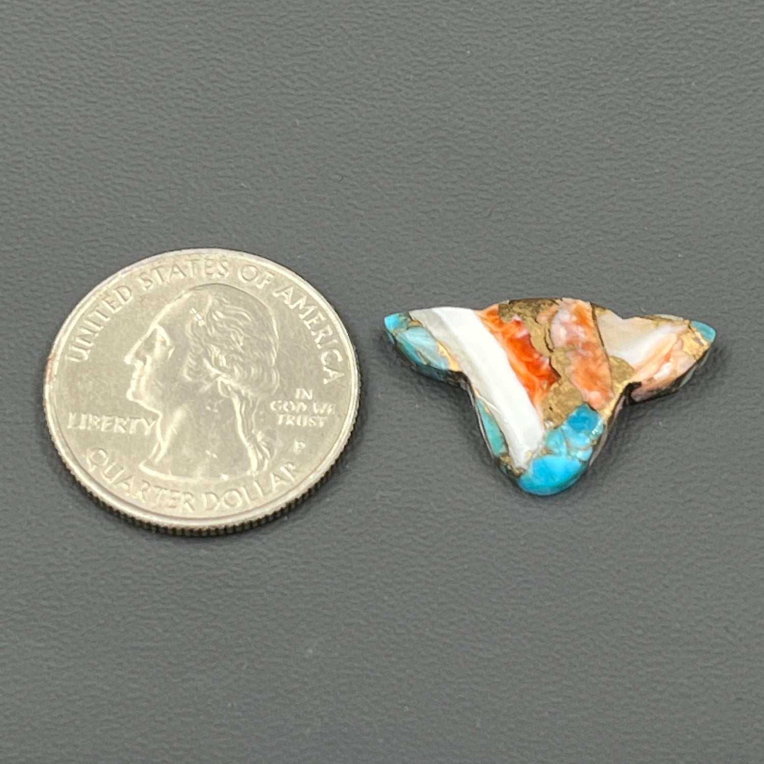 Kingman Spiny Oyster Turquoise - Loose Cab - Cow Head