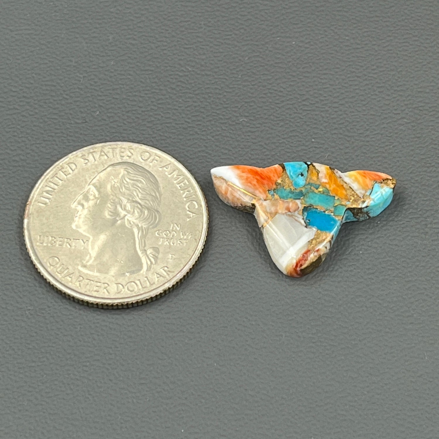 Kingman Spiny Oyster Turquoise - Loose Cab - Cow Head