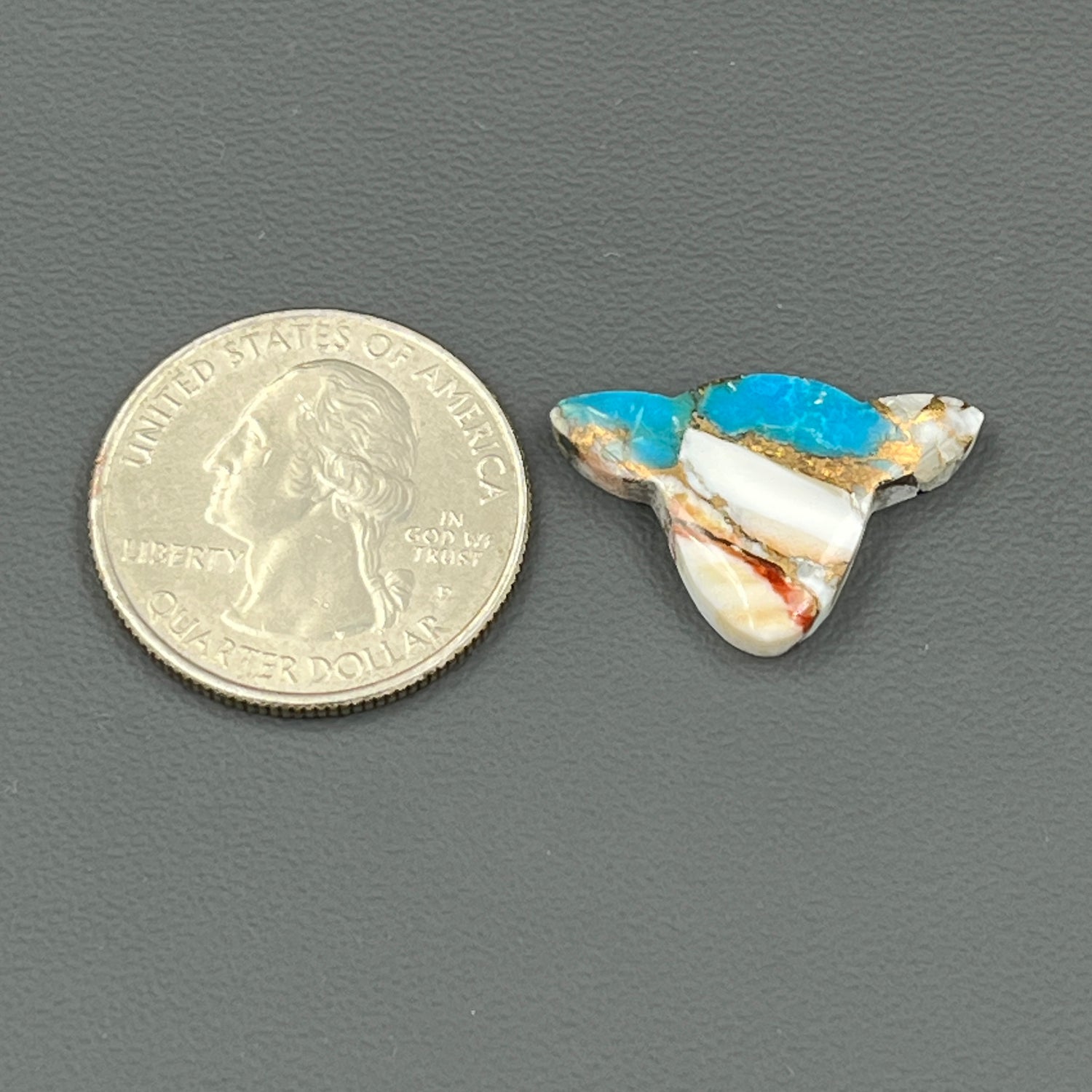 Kingman Spiny Oyster Turquoise - Loose Cab - Cow Head