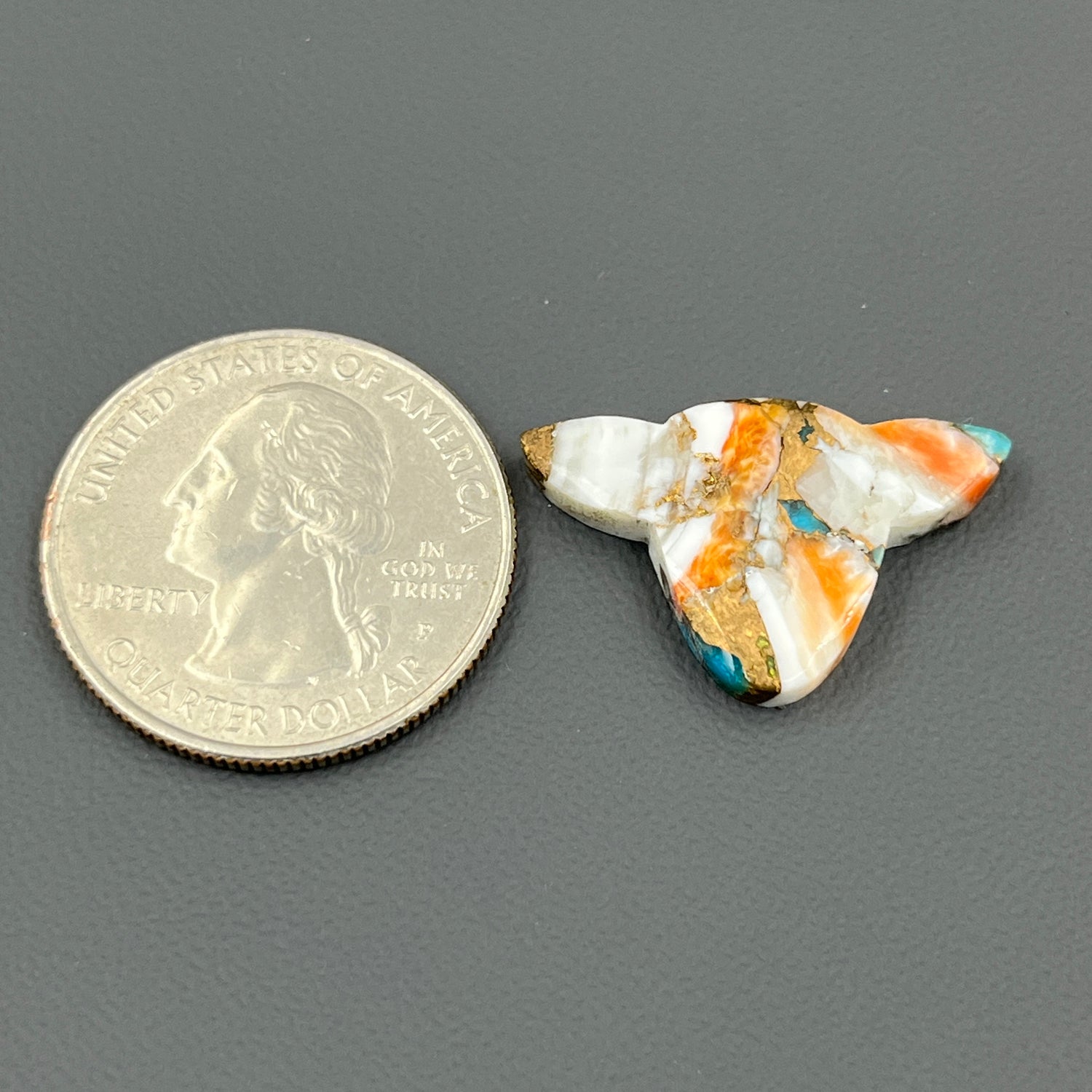 Kingman Spiny Oyster Turquoise - Loose Cab - Cow Head