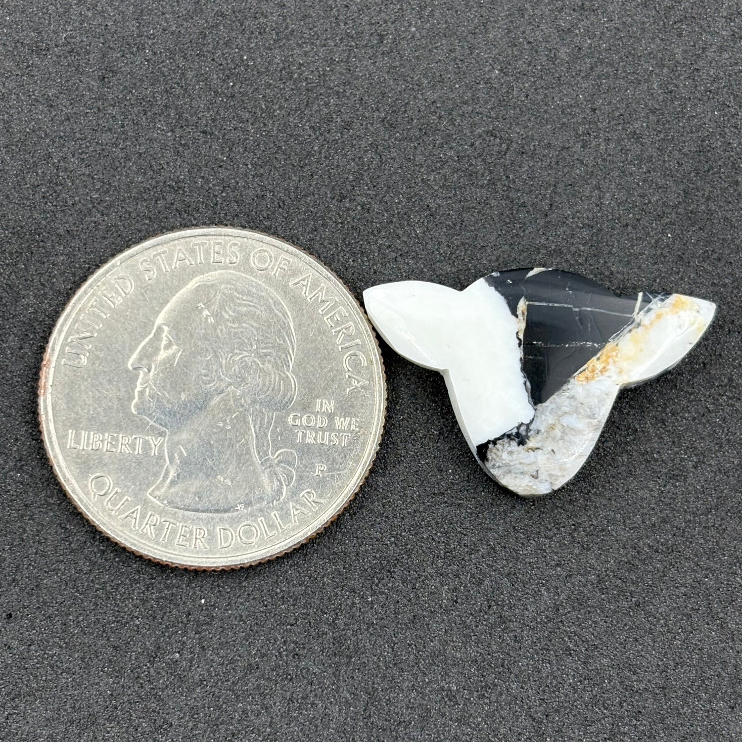 Kingman White Buffalo Turquoise - Loose Cab - Cow Head