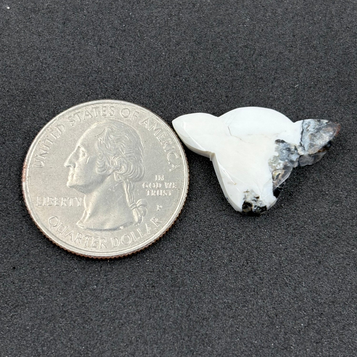 Kingman White Buffalo Turquoise - Loose Cab - Cow Head
