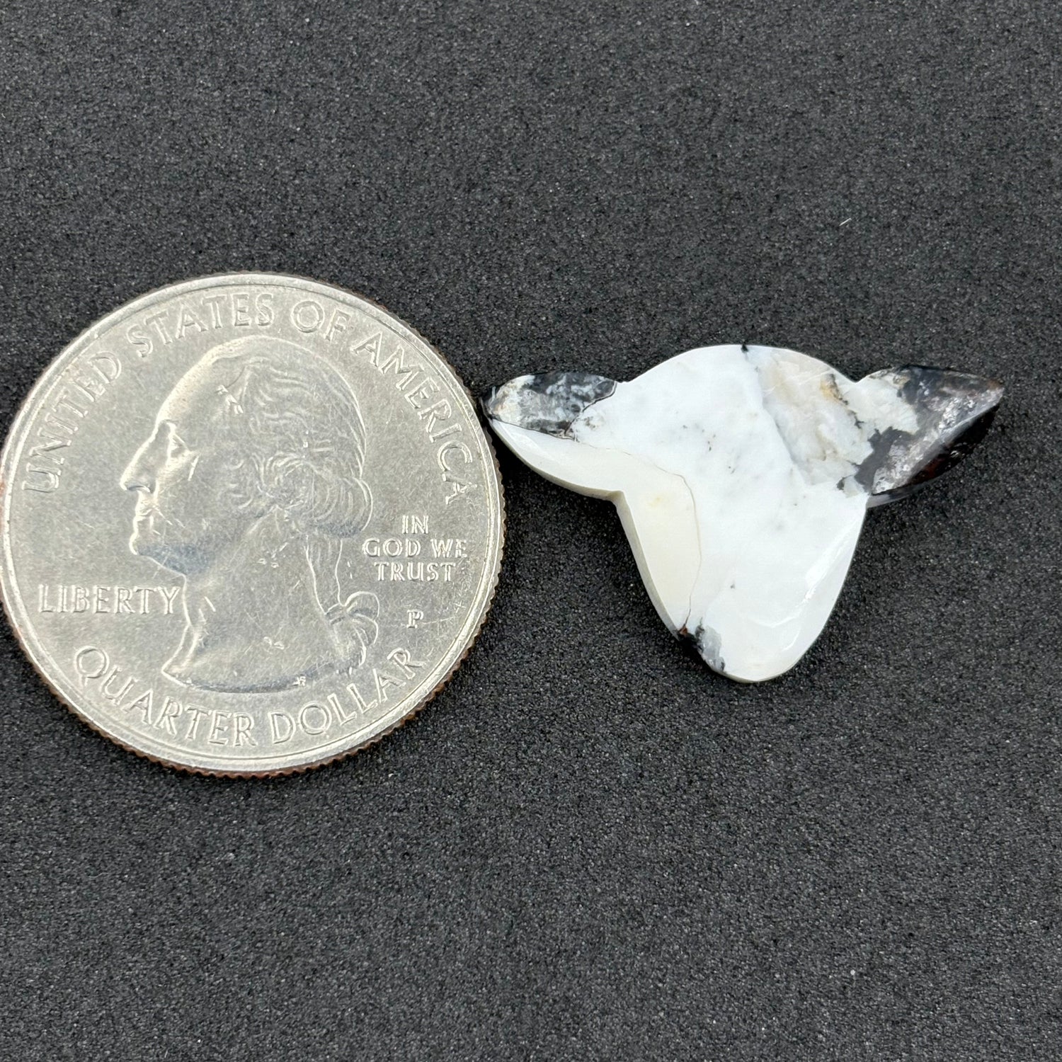 Kingman White Buffalo Turquoise - Loose Cab - Cow Head