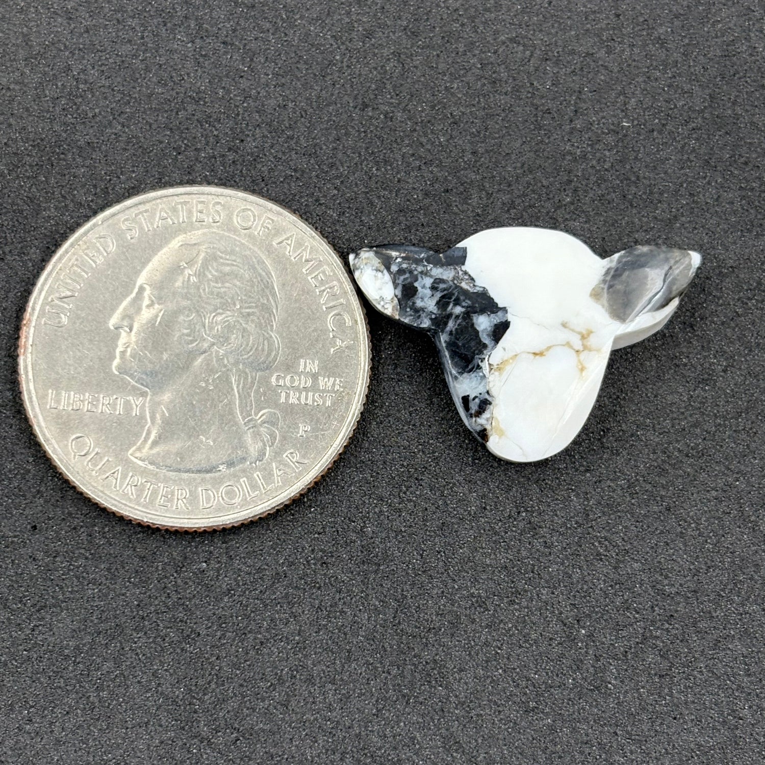 Kingman White Buffalo Turquoise - Loose Cab - Cow Head