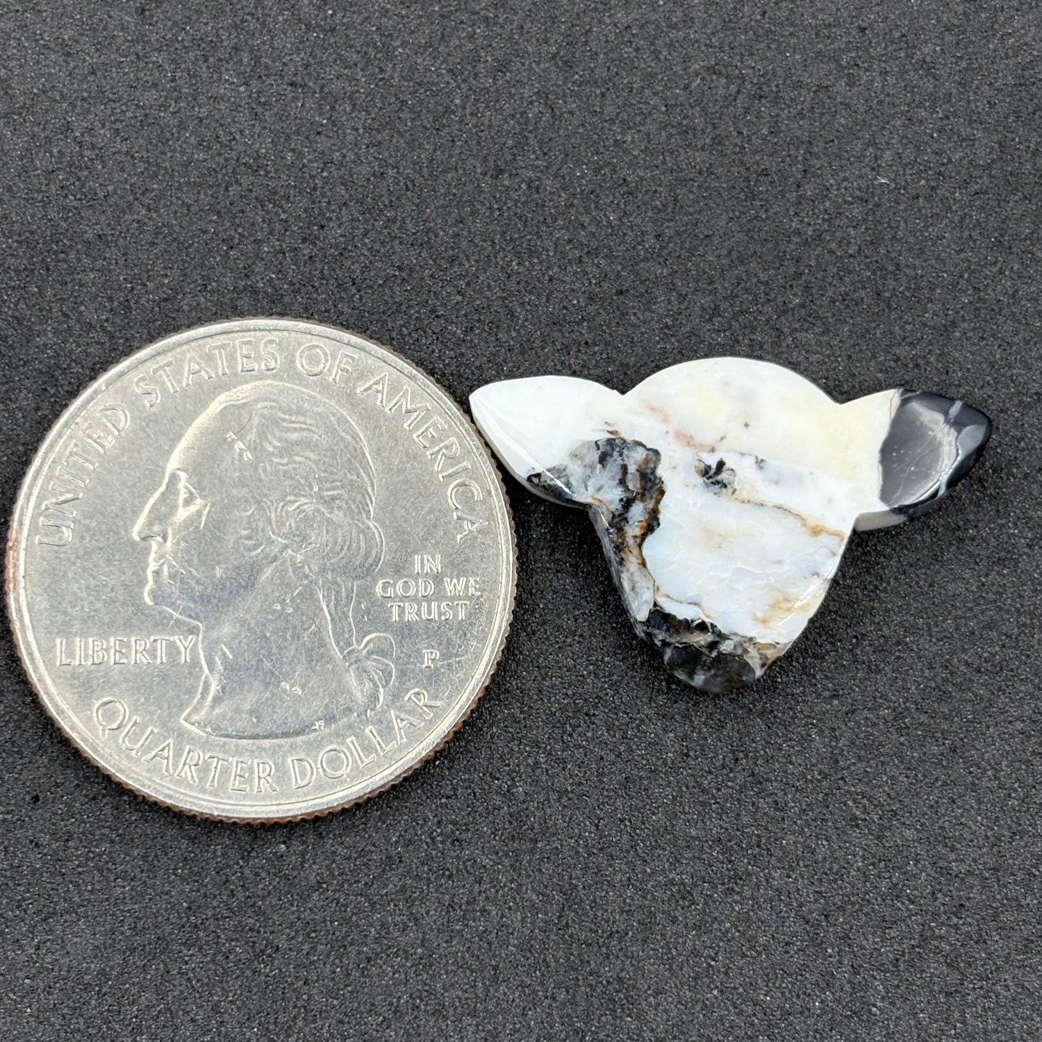 Kingman White Buffalo Turquoise - Loose Cab - Cow Head