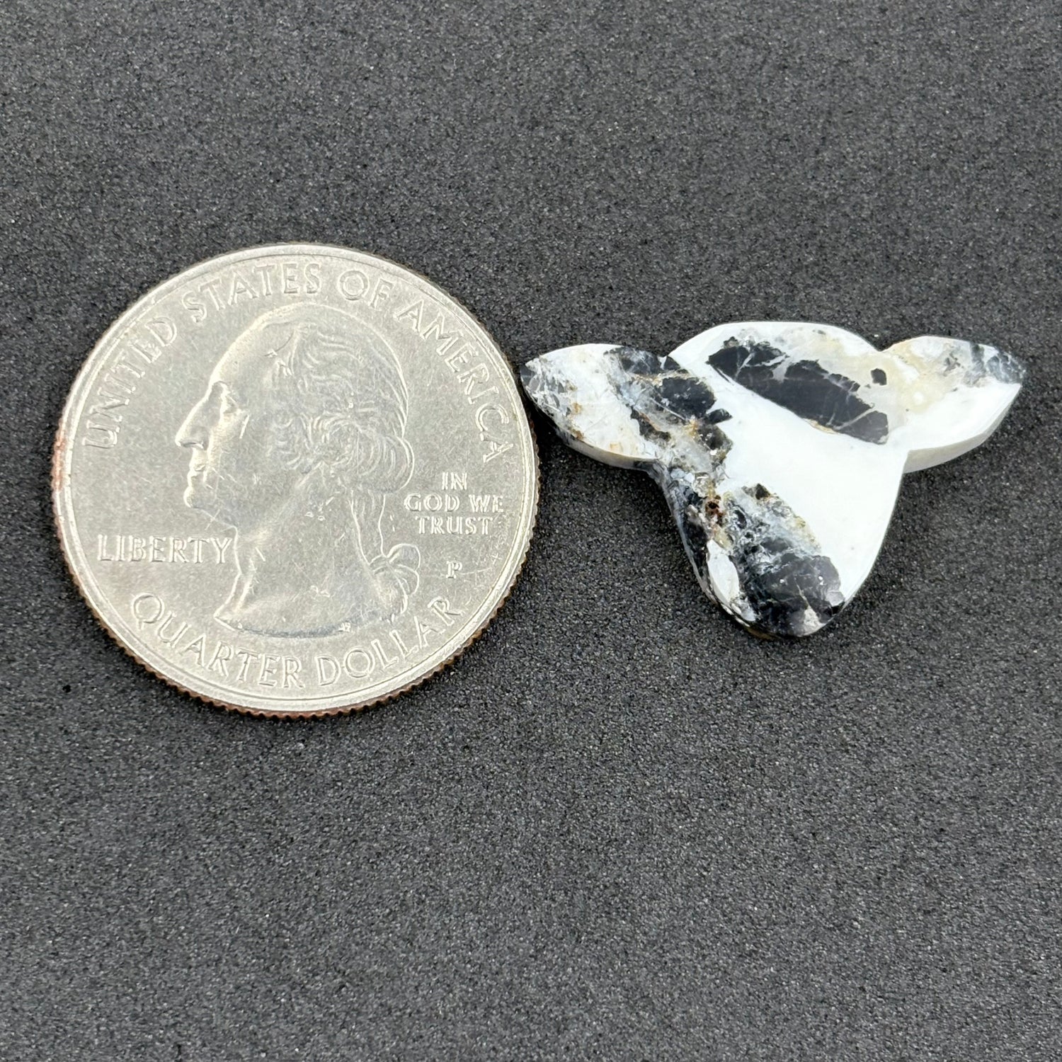 Kingman White Buffalo Turquoise - Loose Cab - Cow Head