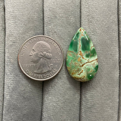 Australian Variscite Cabochon - Teardrop