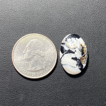 White Buffalo Turquoise Cabochon - Oval