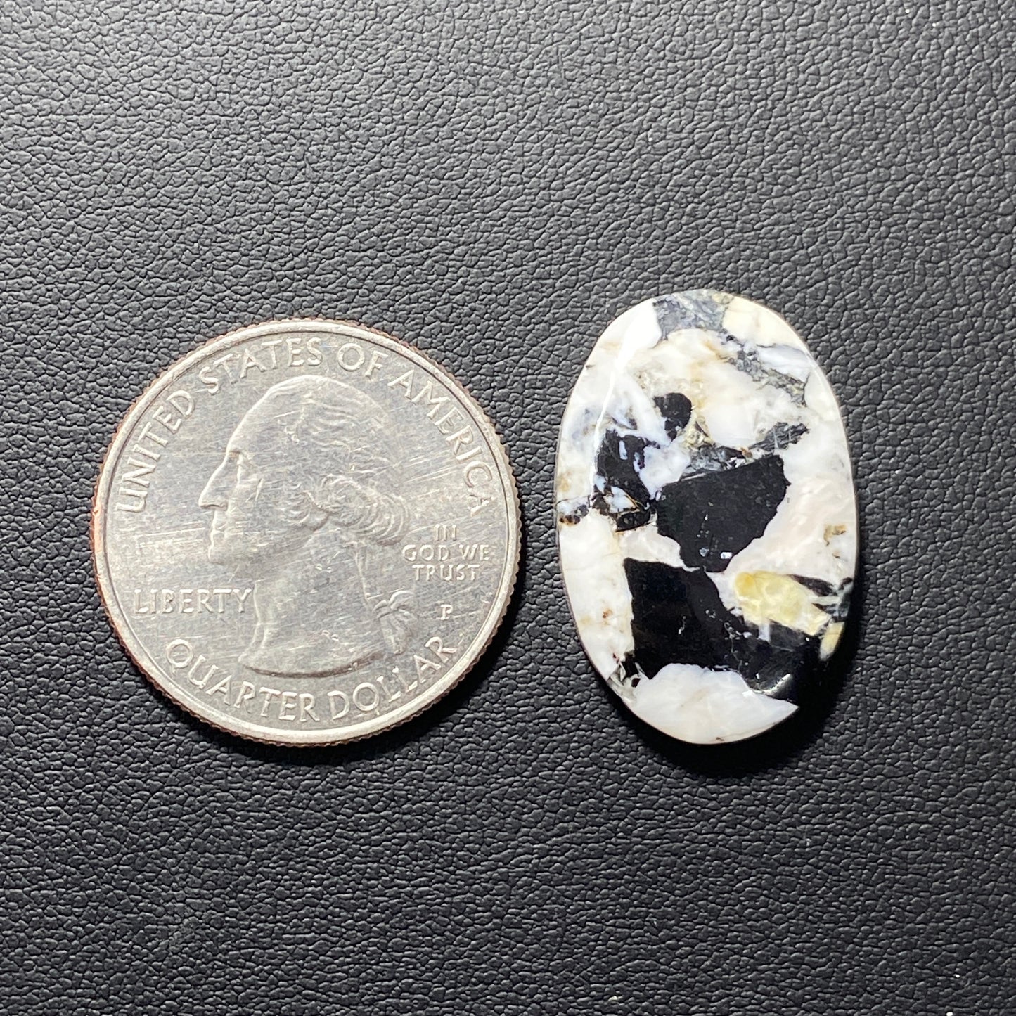 White Buffalo Turquoise Cabochon - Oval