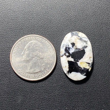 White Buffalo Turquoise Cabochon - Oval