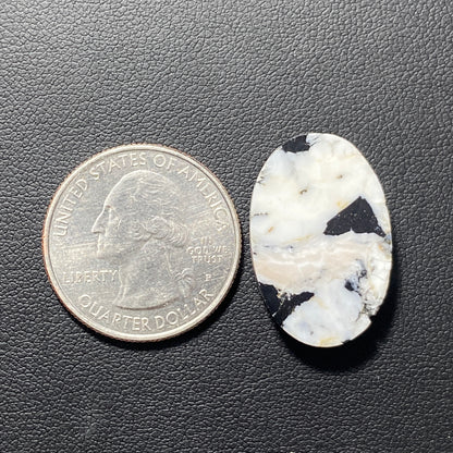 White Buffalo Turquoise Cabochon - Oval