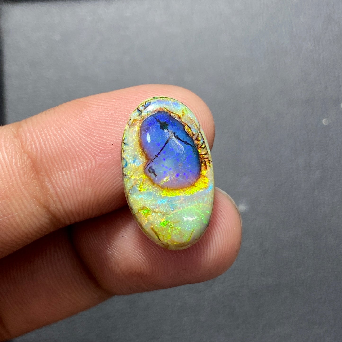 Top Quality Monarch Opal Cabochon - Oval