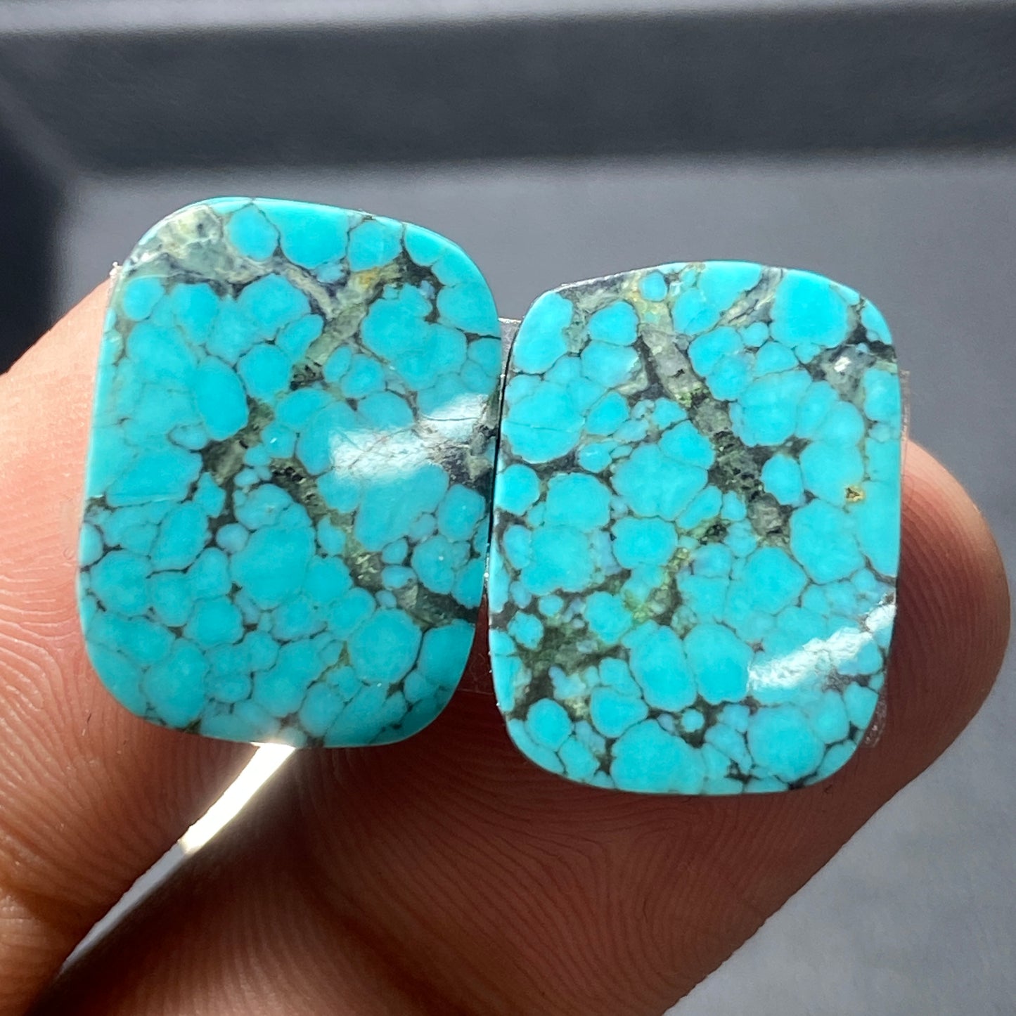 AAA Hubei Turquoise Pair - Cushion