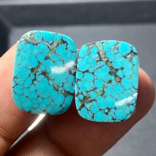 AAA Hubei Turquoise Pair - Cushion