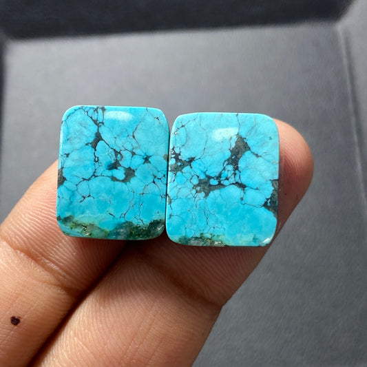 AAA Hubei Turquoise Pair - Cushion