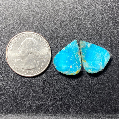 AAA Hubei Turquoise Pair - Teardrop