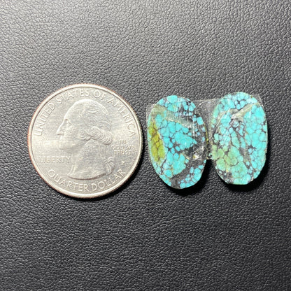 AAA Hubei Turquoise Pair - Oval