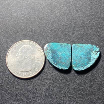 AAA Hubei Turquoise Pair - Pear