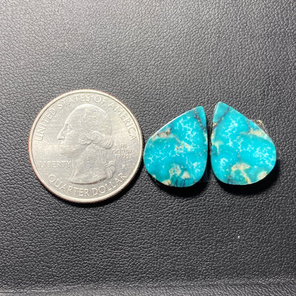 AAA Hubei Turquoise Pair - Teardrop