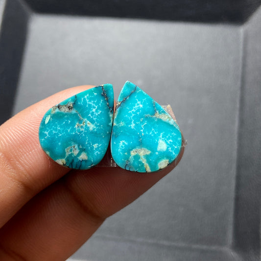 AAA Hubei Turquoise Pair - Teardrop