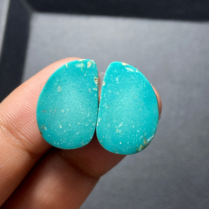 AAA Hubei Turquoise Pair - Fancy