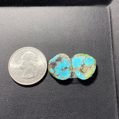 AAA Arizona Turquoise Pair - Tumbled