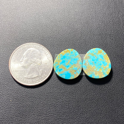 AAA Arizona Turquoise Pair - Tumbled