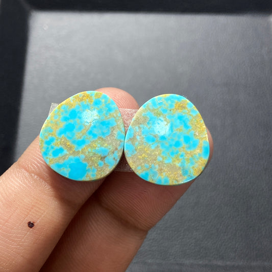 AAA Arizona Turquoise Pair - Tumbled