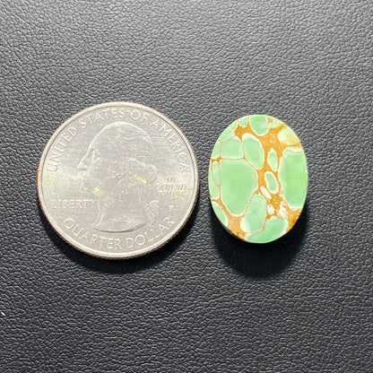 Variscite Green Turquoise Cabochon - Oval