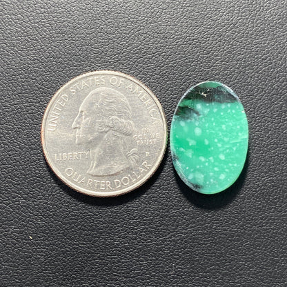 Black Bridge Variscite Gemstone - Oval