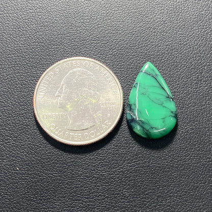 Black Bridge Variscite Gemstone - Teardrop