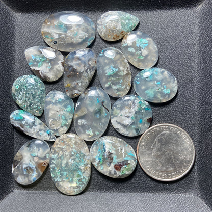 Confetti Chrysocolla Cabochon Wholesale Lot - 15 Pcs