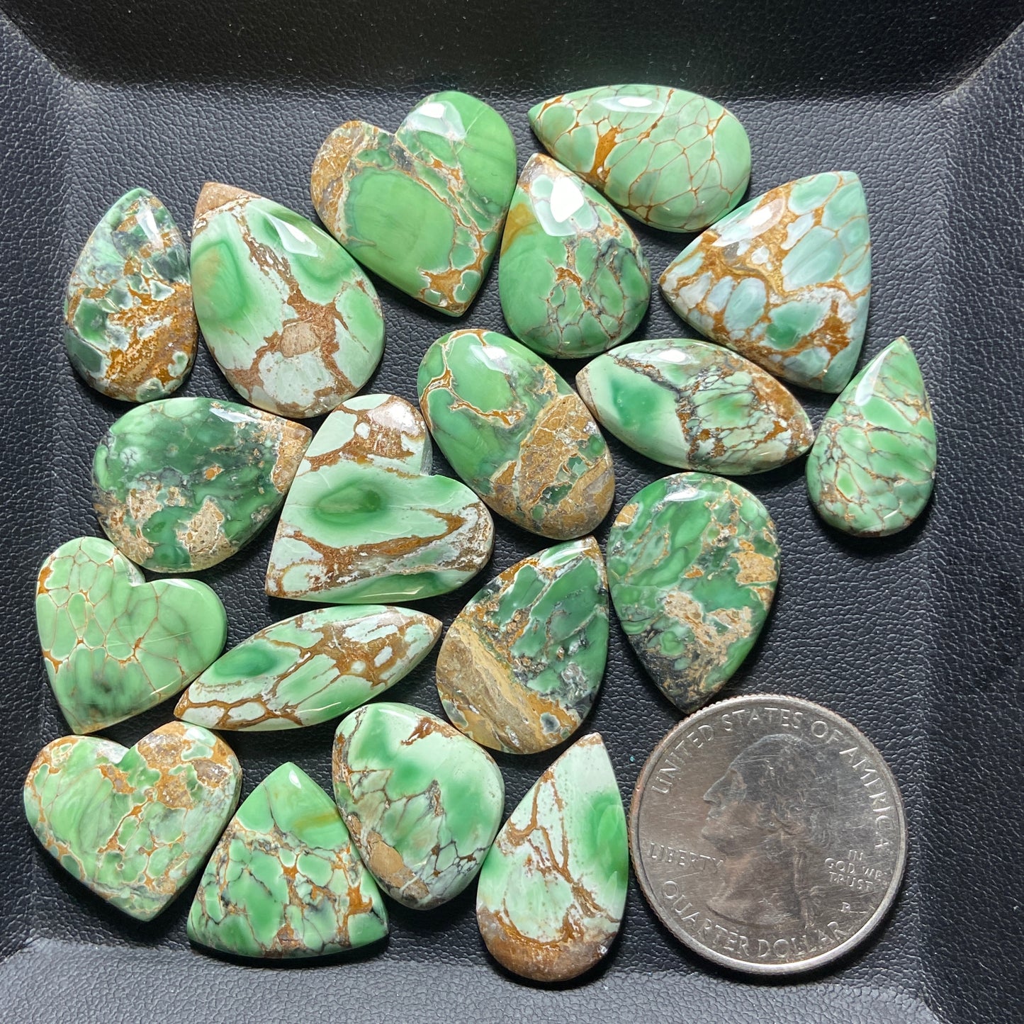 Australian Variscite Wholesale Lot - 19 Pcs