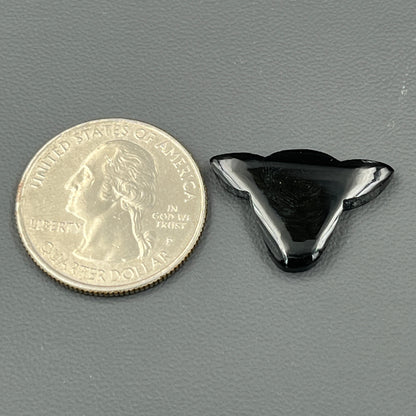 Black Onyx - Loose Cabochon - Cow Head