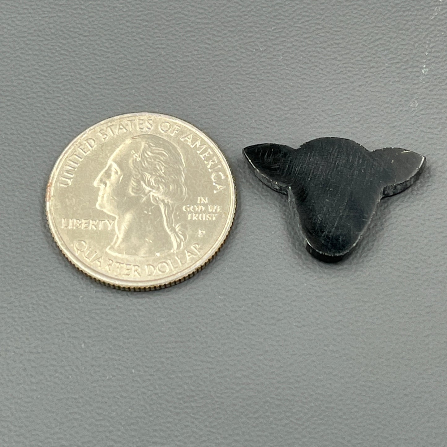 Black Onyx - Loose Cabochon - Cow Head