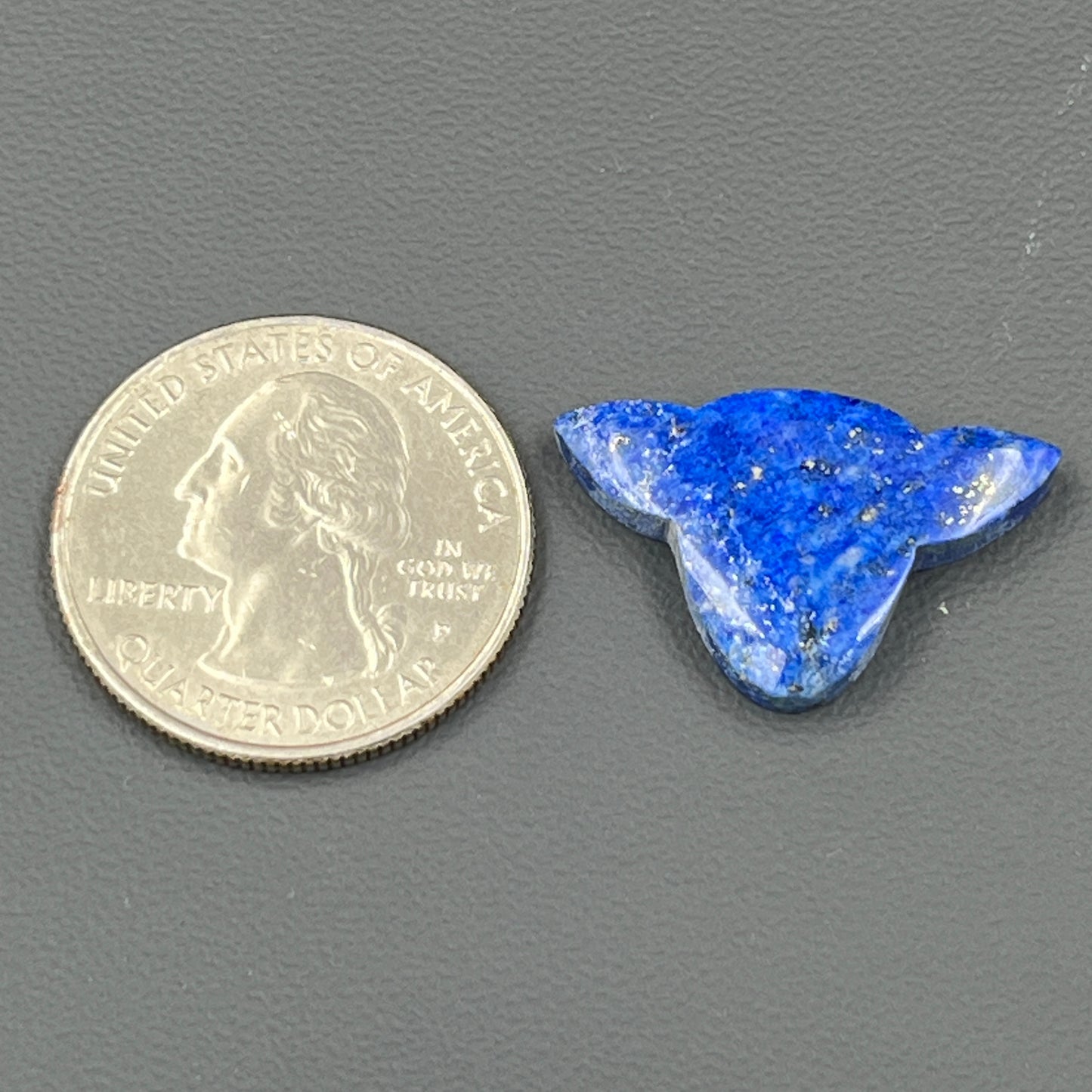 Lapis Lazuli - Loose Cabochon - Cow Head