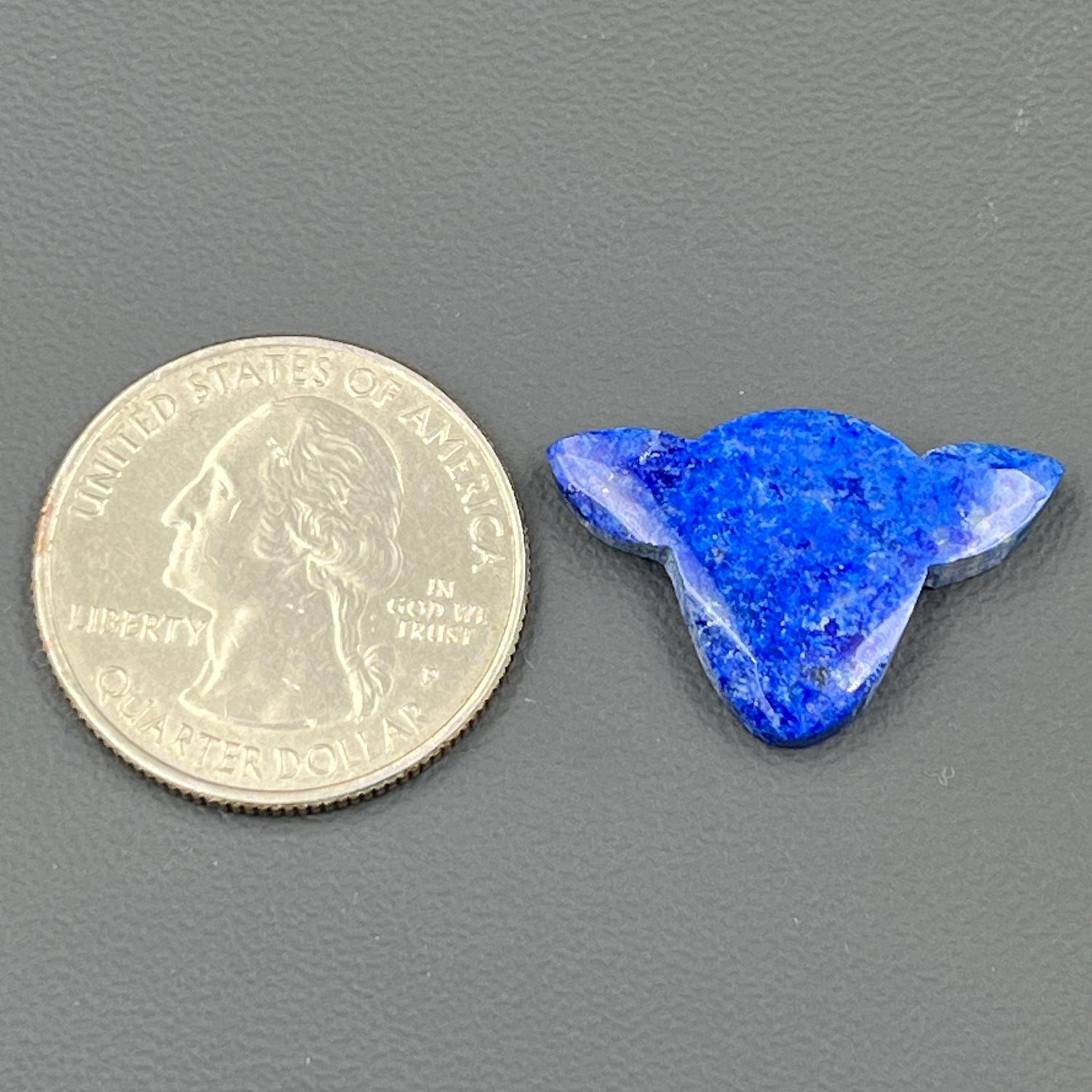 Lapis Lazuli - Loose Cabochon - Cow Head