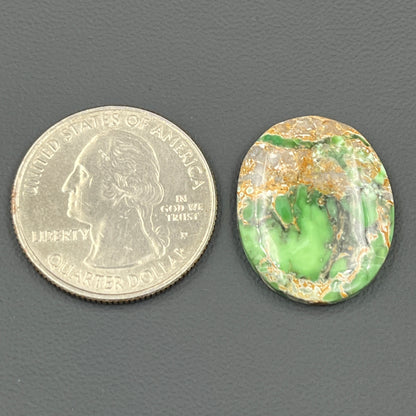 Variscite Green Turquoise Cabochon - Oval